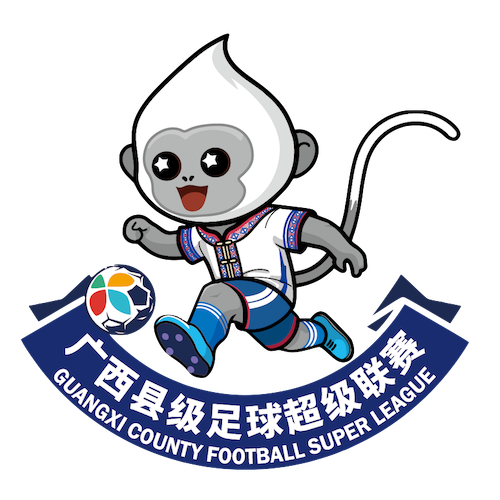广西县级足球超级联赛 来宾市武宣县队0-1柳州市融水苗族自治县队20260328