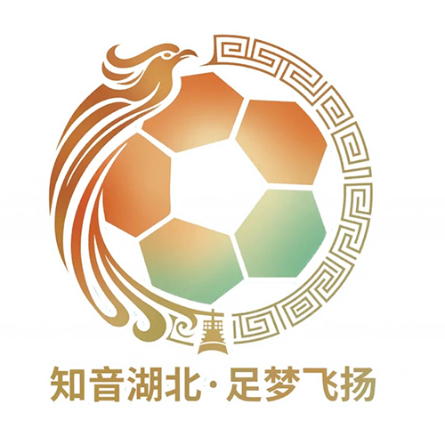 湖北省城市足球联赛 咸宁外星人队VS黄石美尔雅队20260530