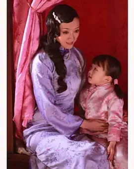 《双面佳人2010》全集高清完整版在线观看与剧情解析