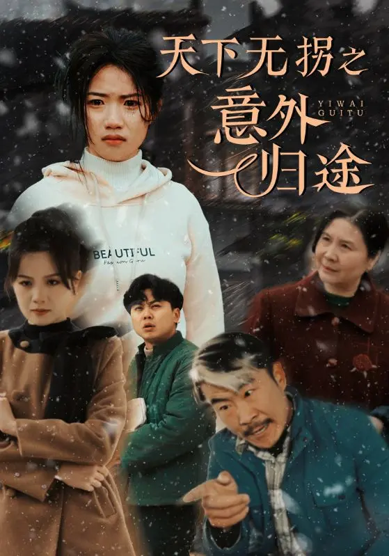 《天下无拐之意外归途》全集高清完整版在线观看与剧情解析