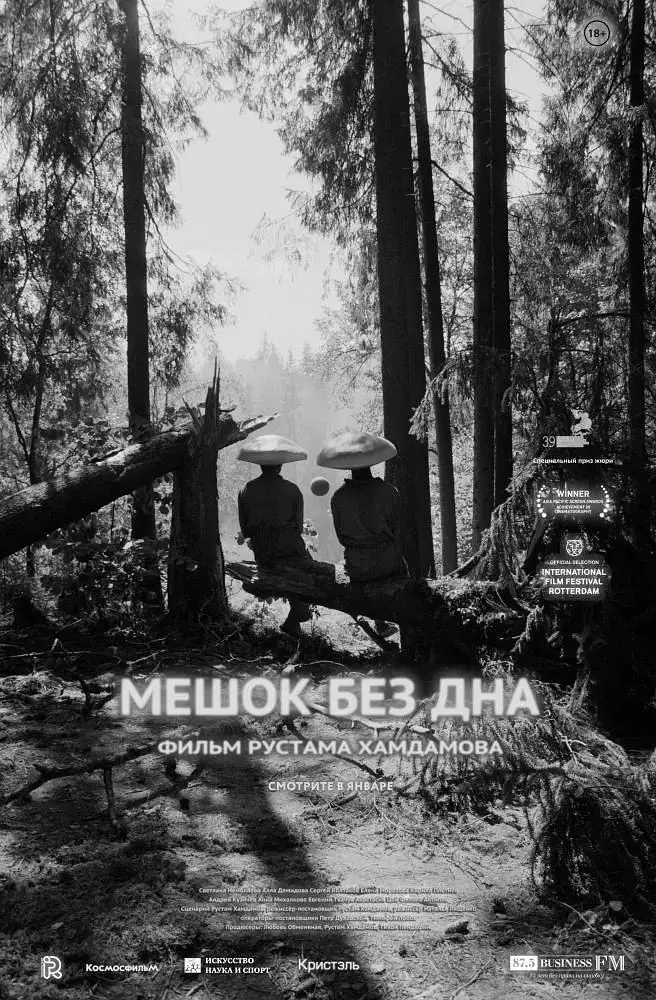 《无底袋2017》全集高清完整版在线观看与剧情解析