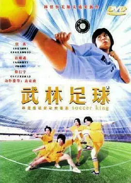 《武林足球》全集高清完整版在线观看与剧情解析