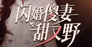 闪婚傻妻甜又野